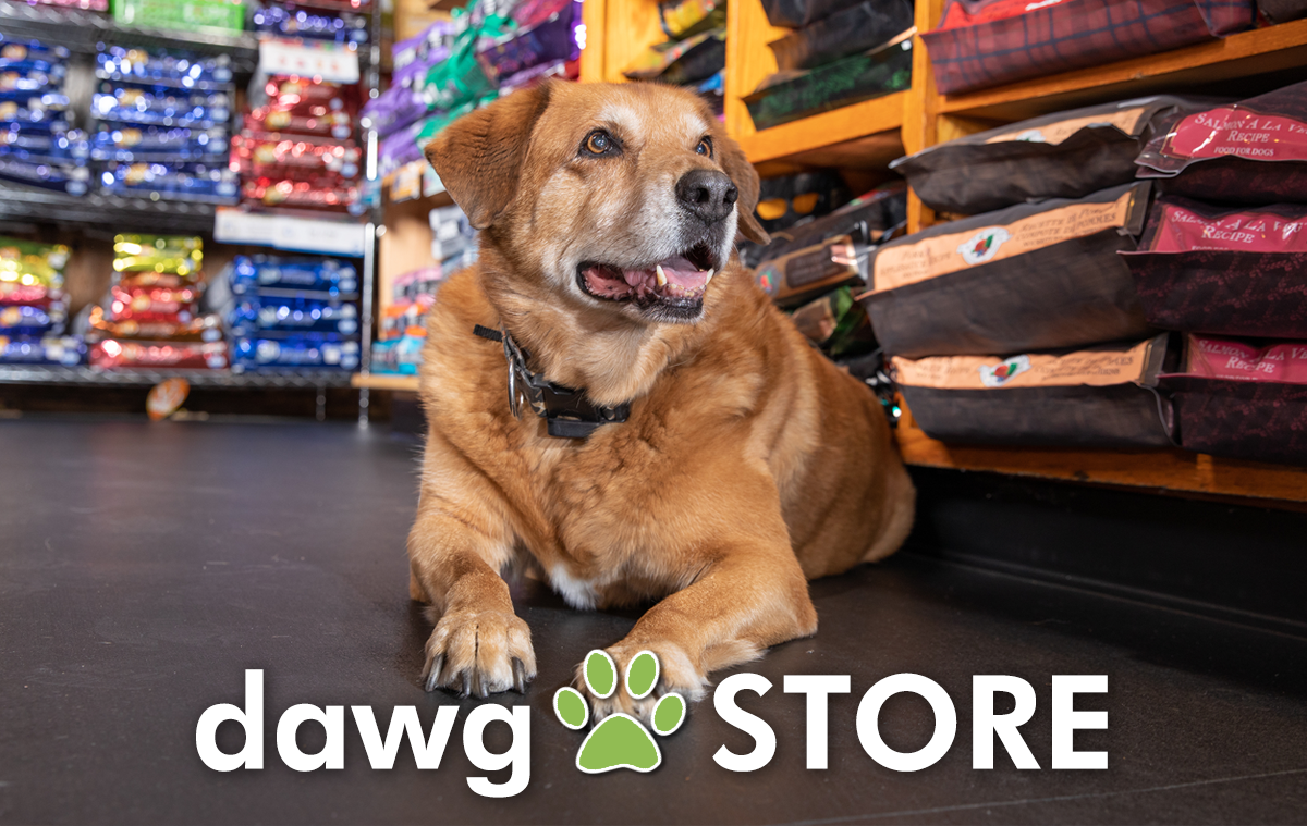 The Dawg Store